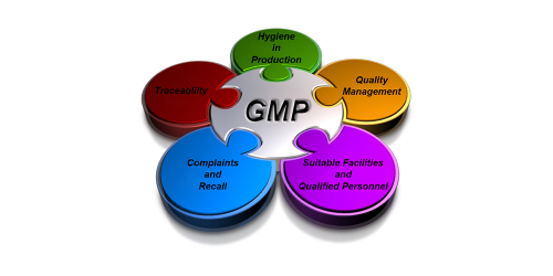GMP - Đào tạo, xây dựng và đánh giá Thực hành sản xuất tốt